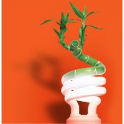 Энергосберегающие лампы Acme – идеальный выбор для вашего офиса!. 